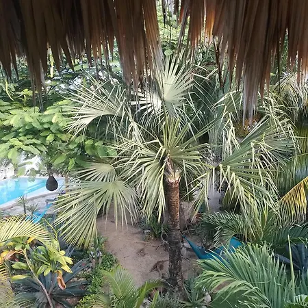Zamunda Garden View