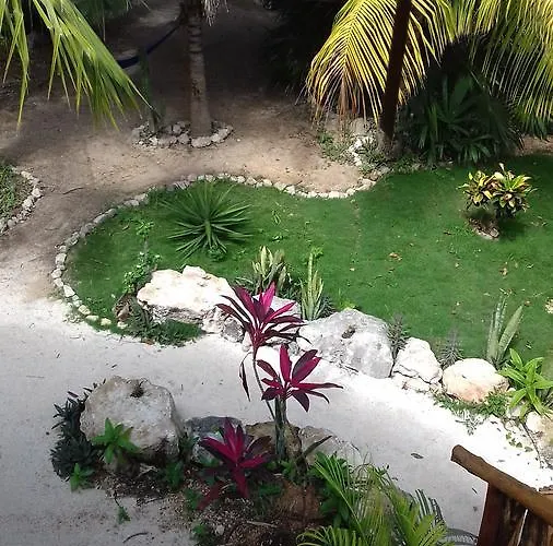 Zamunda Garden View