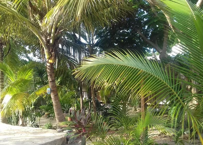 Zamunda Garden View 2*